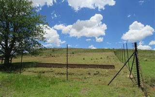 70 ha Farm in Kestell