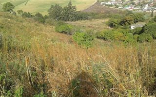 2 ha Farm in Umzinto