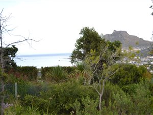 1060 m² Land available in Berg en Dal