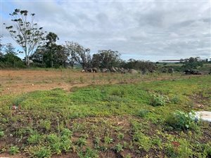 340 m² Land available in Gonubie