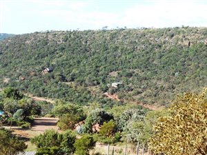 1000 m² Land available in Presidentsrus