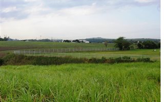 116 ha Farm in Ballito