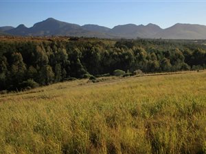 602 m² Land available in Welgelegen Estate
