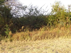 1040 m² Land available in Pebble Rock