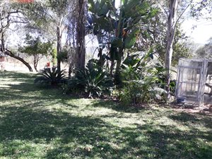 328 m² Farm in Mokopane