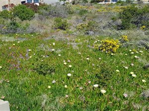 400 m² Land available in Moquini Coastal Estate