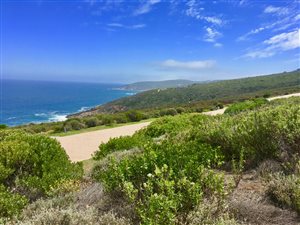 2985 m² Land available in Breakwater Bay Eco Estate