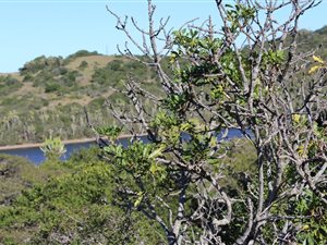 700 m² Land available in Kleinemonde