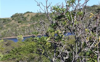 700 m² Land available in Kleinemonde