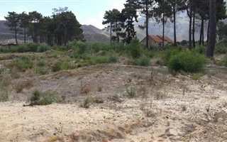 595 m² Land available in Bot River