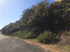 2929 m² Commercial space in Sheffield Beach