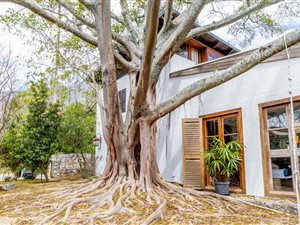800 m² Land available in Higgovale