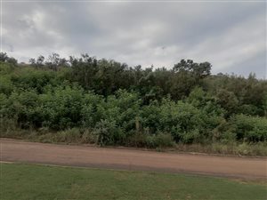 3772 m² Land available in Bergtuin