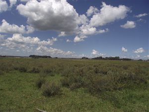 4.7 ha Farm in Vaal PowerAH
