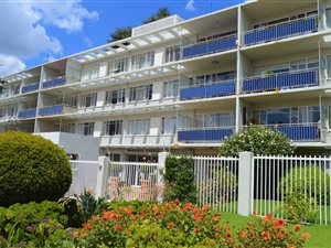 1 Bed Apartment in Birdhaven