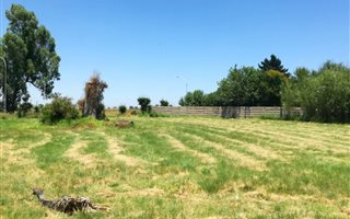 2213 m² Land available in Daggafontein