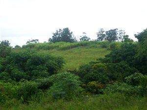 2 ha Land available in Shakaskraal