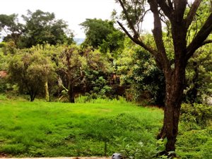 1100 m² Land available in Waterkloof Ridge
