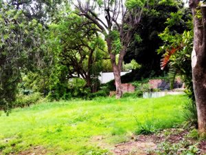 1100 m² Land available in Waterkloof Ridge