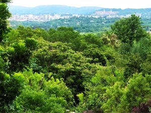 1100 m² Land available in Waterkloof Ridge