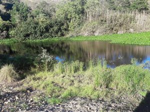 12 ha Farm in Riversdale