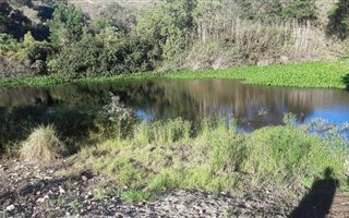 12 ha Farm in Riversdale