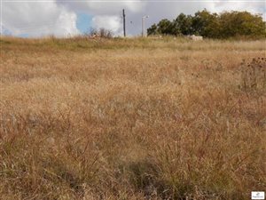 951 m² Land available in Fouriesburg