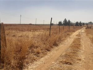 6.9 ha Farm in Walkerville