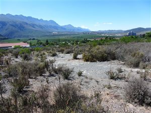 1292 m² Land available in Ashton