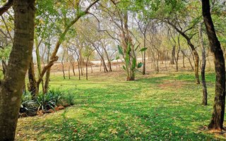5.4 ha Farm in Modimolle