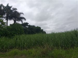 4.8 ha Farm in Fairbreeze