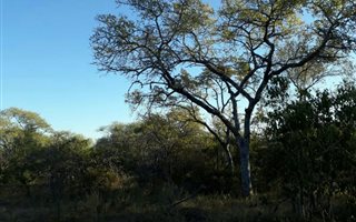 9197 m² Land available in Sabie Park