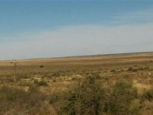 4299 ha Farm in Kimberley