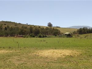 12.5 ha Farm in Riversdale