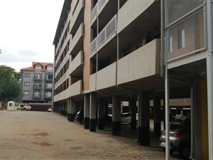 Bachelor apartment in Hillcrest