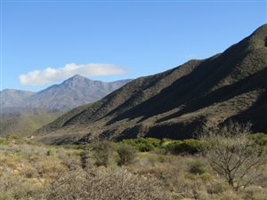 4.4 ha Land available in Calitzdorp