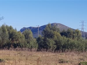 2 ha Farm in Uitenhage Central