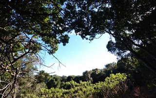 3.4 ha Land available in Victoria Heights