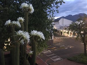 3 Bed Apartment in Stellenbosch Central