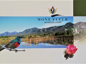 679 m² Land available in Mont Fleur Mountain Estate