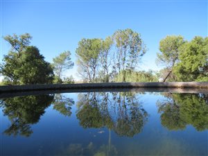 1480 ha Farm in Boshof