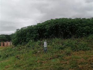 868 m² Land available in Cato Manor