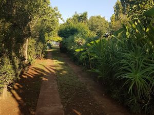 12 ha Farm in Bultfontein