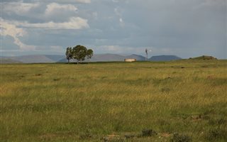 1022 ha Farm in Edenburg