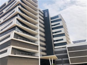 219 m² Commercial space in Umhlanga Ridge