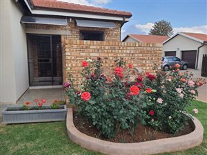 3 Bed Cluster in Brentwood