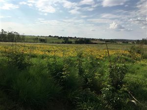 8.2 ha Land available in Bronkhorstspruit