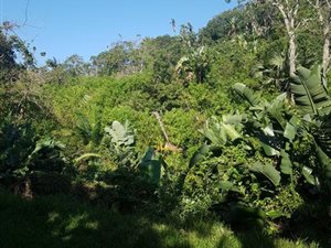 2972 m² Land available in Southbroom