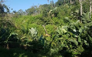 2972 m² Land available in Southbroom