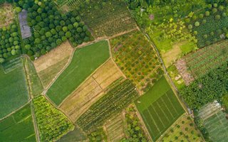 7.9 ha Land available in Faerie Glen